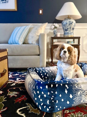 Browse Antelope Dog Beds products