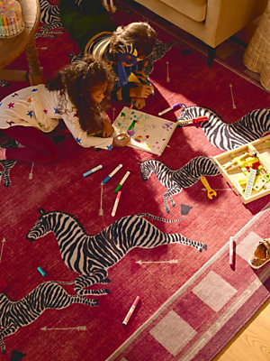 Explore Ruggable x Scalamandré