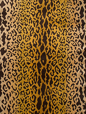 View Leopardo details