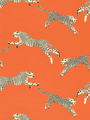 Browse Leaping Cheetah products