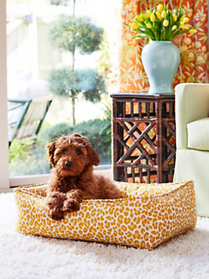 Browse Backyard Bengal Dog Beds products