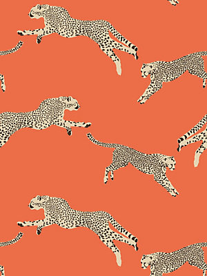 Browse Leaping Cheetah wallcovering products