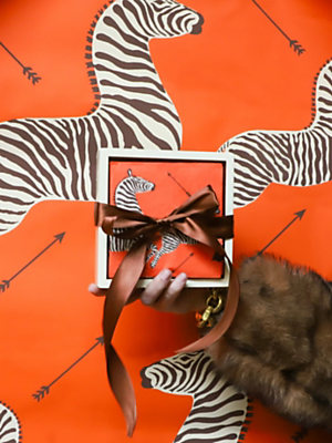 Explore  Caspari Collection