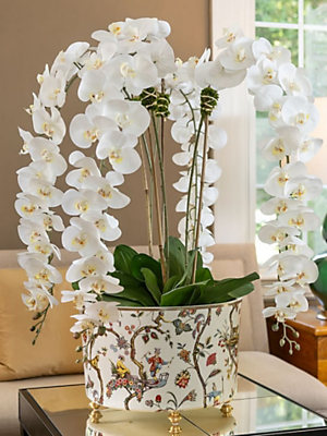 Explore Port 68 Collection