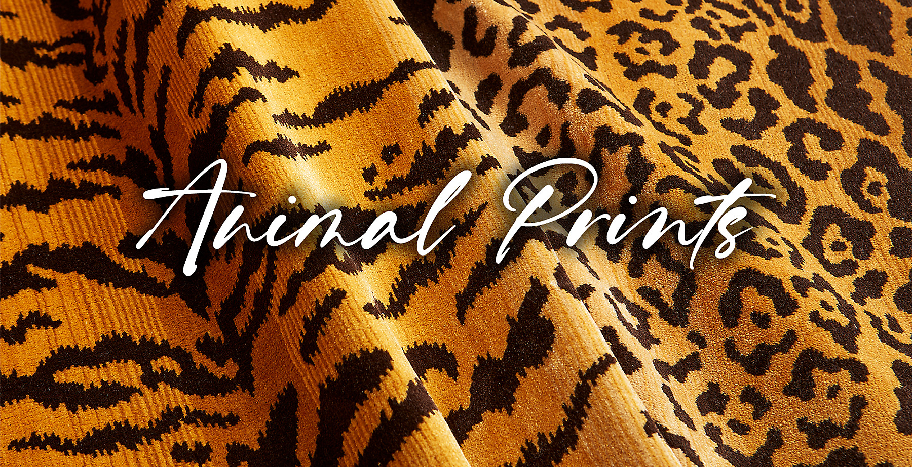 Tigre Leopardo Banner