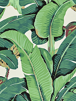 Browse Hinson Palm wallcovering products