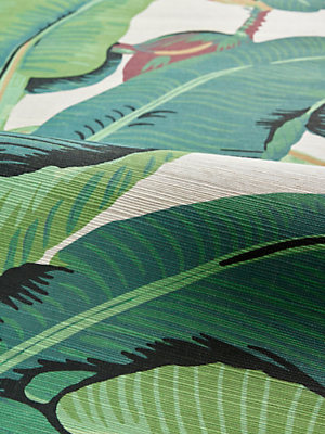 Browse Printed Grasscloths wallcovering products