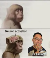 neuron activation