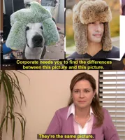 They're The Same Picture