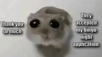 Sad Hamster / Hamster With Big Eyes / Crying Hamster