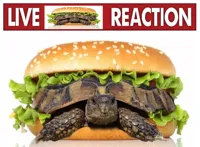 Live reaction