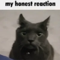 My Honest Reaction