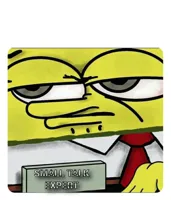 Spongebob's meme expert