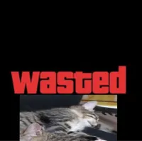 Wasted GTA