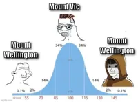 bell curve