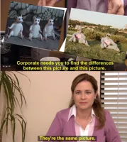 corporate wants you to find the difference