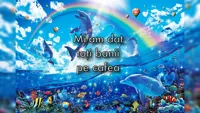 symphony dolphin