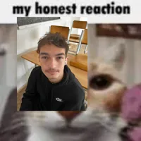 My Honest Reaction