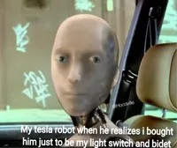 tesla robot