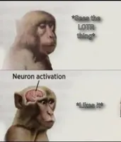 neuron activation