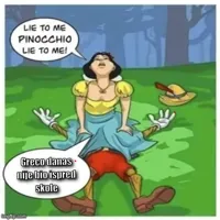 lie to me pinocchio