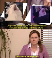 They're The Same Picture