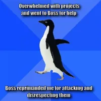 Socially Awkward Penguin