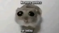 Sad Hamster / Hamster With Big Eyes / Crying Hamster