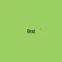 Brat