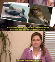 They're The Same Picture