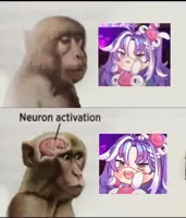 neuron activation