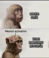 neuron activation