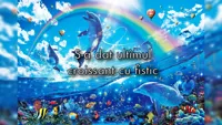 symphony dolphin
