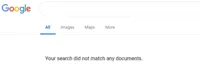 Google No Results