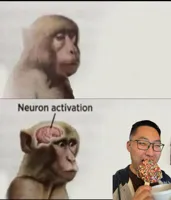 neuron activation