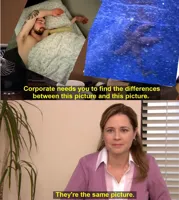 They're The Same Picture