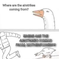 Goose Chase