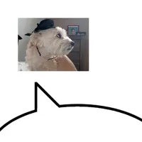 Speech bubble meme template reversed