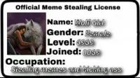 Meme Stealing License