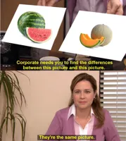 They're The Same Picture