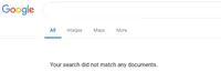 Google No Results