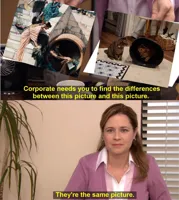 They're The Same Picture