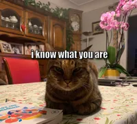 I know what you are
