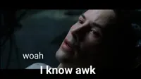 i know kung fu