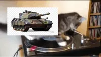spinning cat