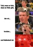 Mr. McMahon reaction