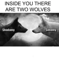 Inside you there are two wolves