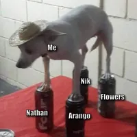 Dog on cans