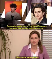 They're The Same Picture