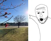 soyjak pointing 